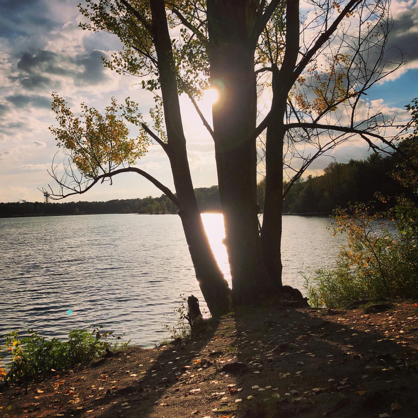 Den Sohn zum Freund am anderen Ende der Stadt gefahren, Vater-Sohn-Gespräch im Stau, danach lange Meditation am Flughafensee.